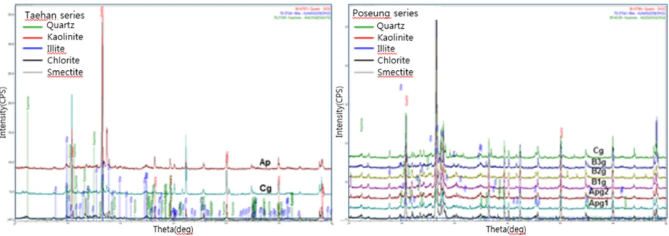 Fig. 4. XRD patterns of representative soil samples from each soil horizon for the TH and PS soil series.