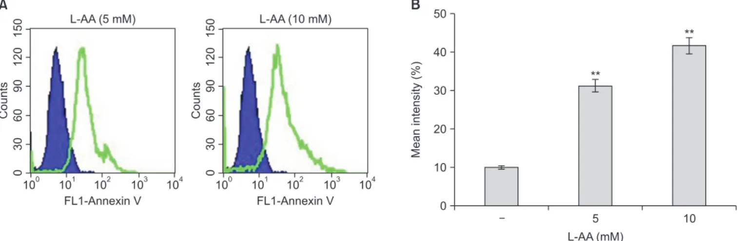 Fig. 2. Induction of apoptosis via L-ascorbic acid (L-AA) in Hep-2 cells. (A) Histograms representing flow cytometry results of cells treated with 5 and 10 mM  L-AA for 24 hours