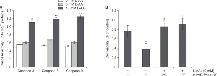 Fig. 4. Caspase activation in L-ascorbic acid (L-AA)-treated Hep-2 cells. (A) The caspase-3, -8, and -9 activity was determined by treating the cells with 5  and 10 mM L-AA for 24 hours and the cell lysates were analyzed via a colorimetric assay