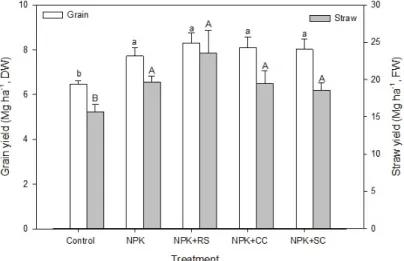Fig. 2. Grain (empty) and straw (gray) yield under different fertilization. The different letters indicate significant difference among fertilization treatments at LSD 0.05 