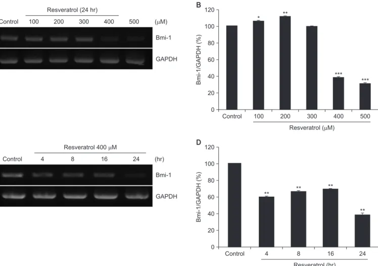 Fig. 2. Effect of resveratrol on Bmi-1 mRNA levels. (A, B) YD-10B cells were treated with different concentration of resveratrol (0–500 μM) for 24 hours