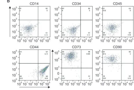 Fig. 1. Characterization of stem cell properties of periodontal ligament stem cells (PDLSCs)