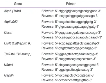 Table 1.  The nucleotide sequences of primers used in this study