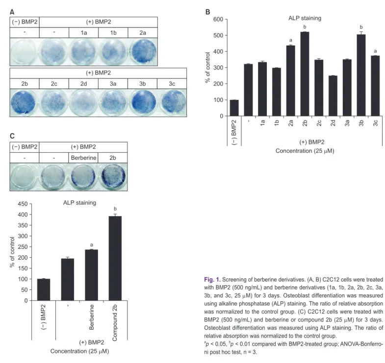 Fig. 1. Screening of berberine derivatives. (A, B) C2C12 cells were treated  with BMP2 (500 ng/mL) and berberine derivatives (1a, 1b, 2a, 2b, 2c, 3a,  3b, and 3c, 25 μM) for 3 days