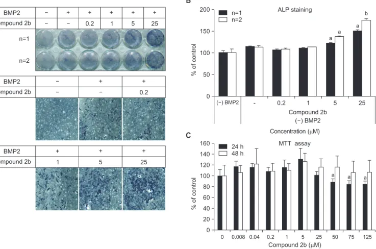 Fig. 2. Effect of compound 2b on differentiation of C2C12 cells. (A, B) C2C12 cells were treated with BMP2 (500 ng/mL) and compound 2b (0.2, 1, 5, and  25 μM) for 3days