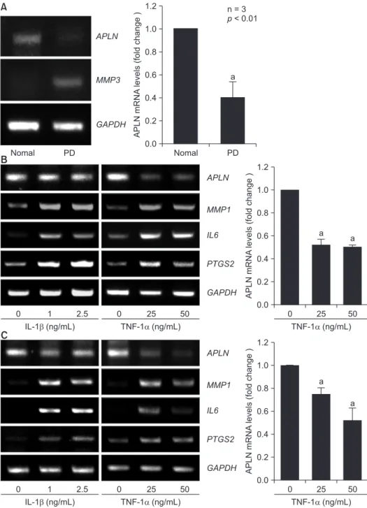 Fig. 1. Downregulated expression of APLN  in human gingiva during periodontal disease  progression