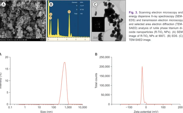 Fig. 4. Dynamic light scattering analysis (A) and zeta potential (B) of rutile phase titanium dioxide nanoparticles (R-TiO 2  NPs).
