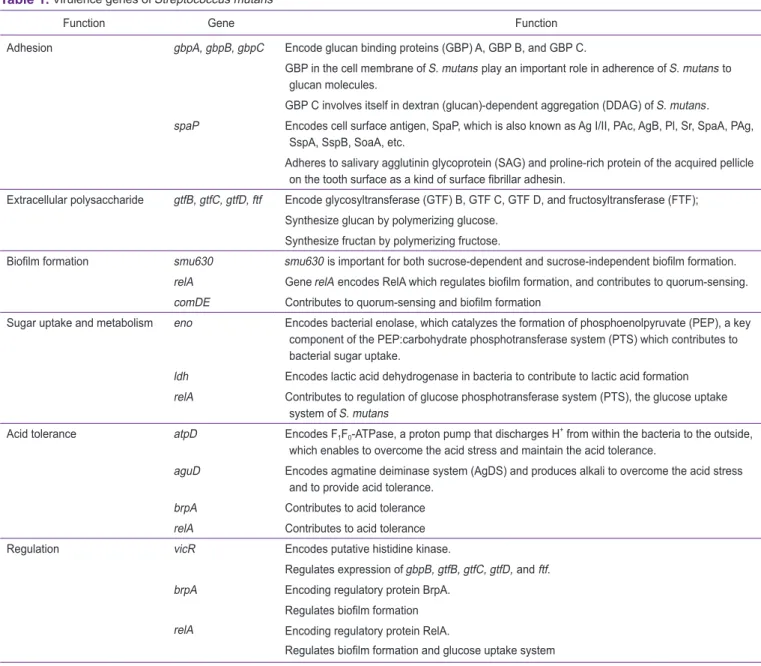 Table 1.  Virulence genes of Streptococcus mutans