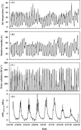 Fig. 2. Daily changes of air temperature (A), relative humidity (B), solar radiation (C) and vapor pressure deficit (D)  during the experiment period.