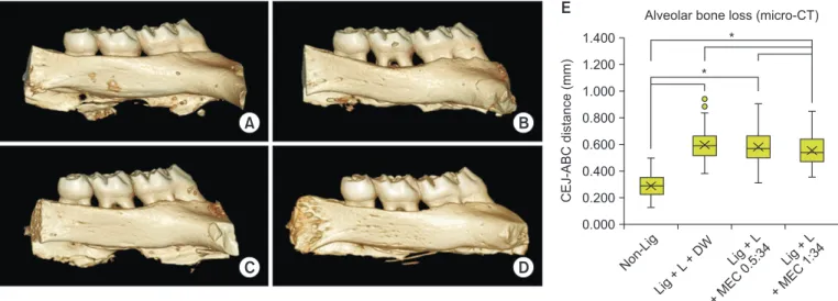 Fig. 3.  3-Dimensional micro-computed tomography (micro-CT) image of alveolar bone loss around the maxillary second molar