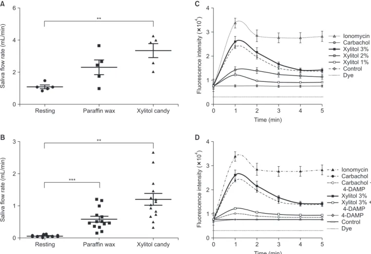 Fig. 1.   Xylitol stimulates salivary secretion in healthy and dry mouth patients. The salivary flow rate was measured for 5 minutes in resting states, stimulated  states (paraffin wax), and xylitol candies (100%) from healthy subjects (n = 5) (A) and dry 