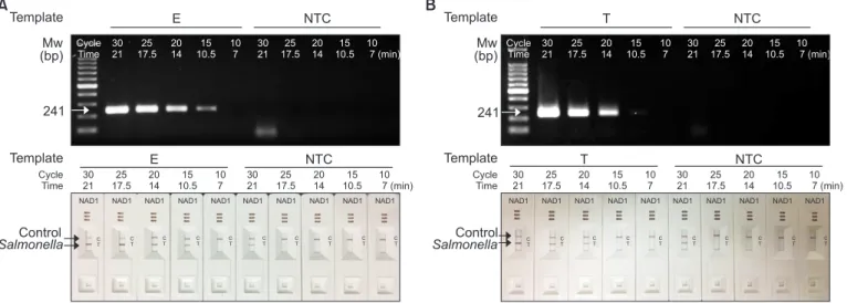 Fig. 2. Optimization of polymerase chain reaction running time of convection polymerase chain reaction (cPCR) for nucleic acid lateral flow (NALF)  immunoassay using single-line NALF (NAD1)