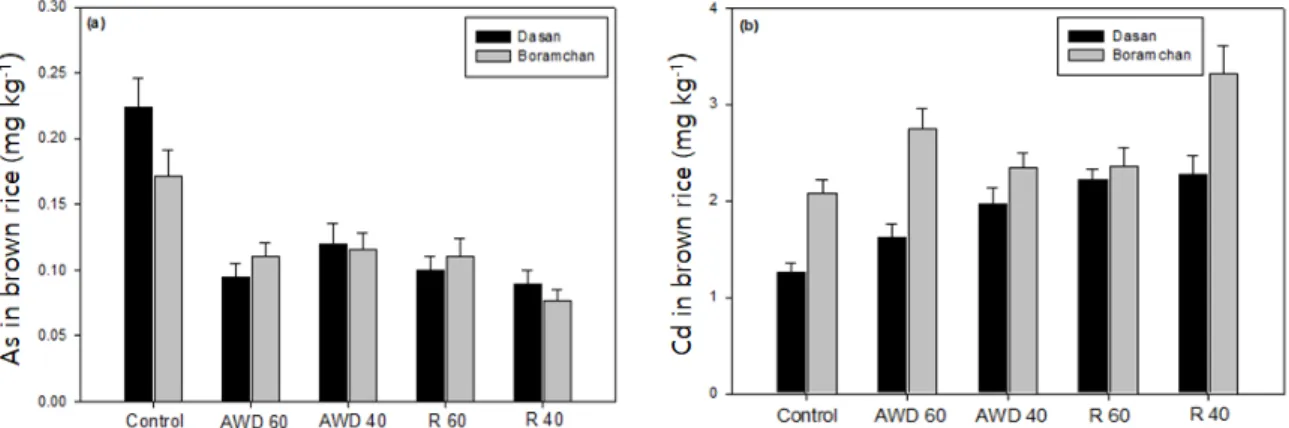 Fig. 1. Effect of water management on (a) arsenic (As) and (b) cadmium (Cd) concentrations in brown rice