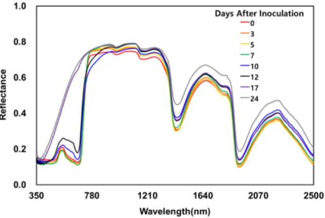 Fig. 3. Change of spectral reflectance on rice leaves according to days after inoculation of Bacterial Leaf Blight.