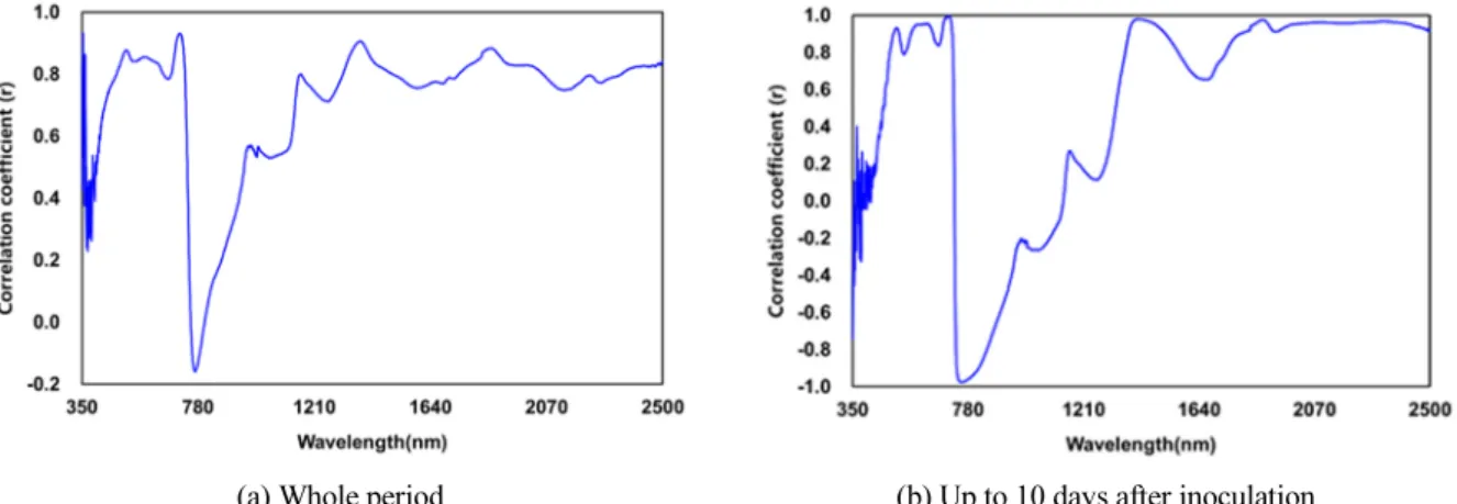Fig. 4. Diagram of coefficient of correlation for the linear correlation between spectral reflectance of Bacterial Leaf  Blight and proportion of infested area (%) in relation to wavelength.