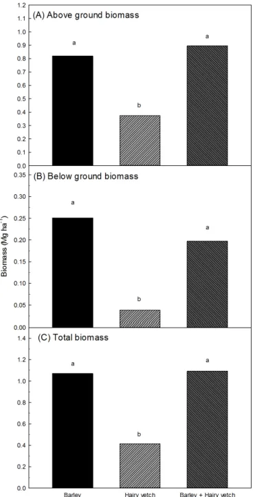 Fig. 1. The above ground (A), below ground (B), and total (C) biomass yield of green manures