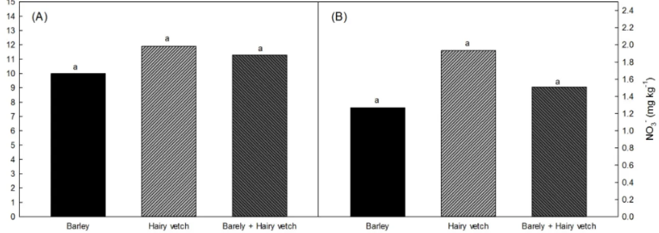 Fig. 2. NH 4 +  (A) and NO 3 -  (B) concentration in soil incorporated with different green manures at corn harvest time.