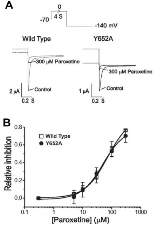 Fig. 6. Concentration-independent inhibition of WT and mutant  hERG channels expressed in oocytes
