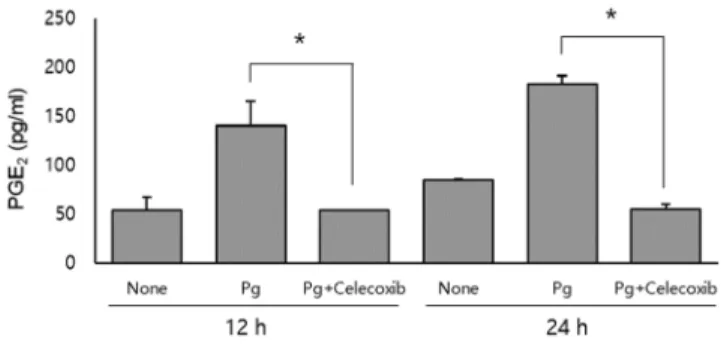 Fig. 1. COX-2 mRNA expression by HDPCs in response to P. gingivalis. (A) HDPCs were infected with increasing MOIs of P