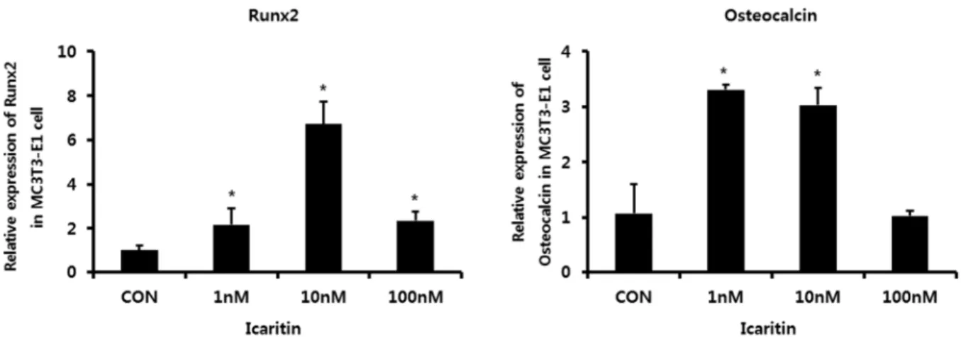 Fig. 4. The effects of icaritin on the mRNA expression for RANKL and OPG. MC3T3-E1 cells were cultured in osteogenic differentiation  media without or with icaritin