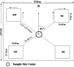 Fig. 1.  Cluster sample plot design for enumerating trees species  (Dadhwal et al. 2009).