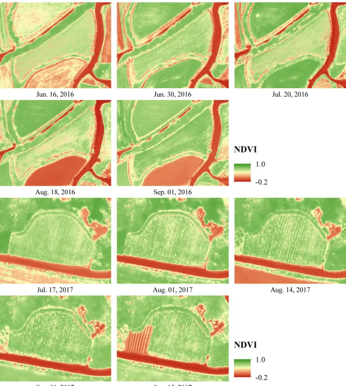 Fig. 3. Temporal NDVI distribution of test fields using UAV at Goesan-gun and Jeongup-si.