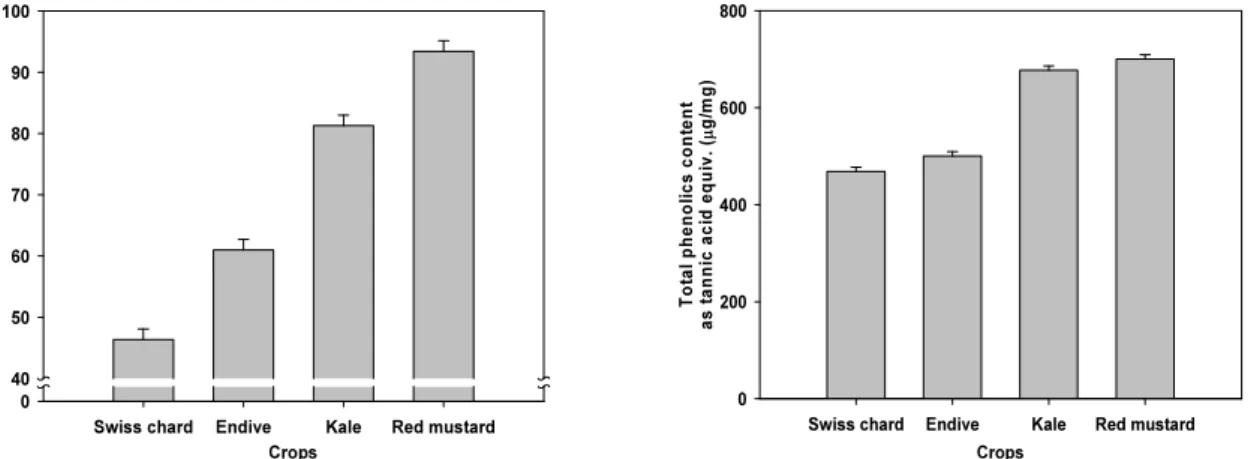 Fig. 4. Total phenolics content and DPPH assay of vegetable crops in plastic film house at the Saemangeum reclaimed  land