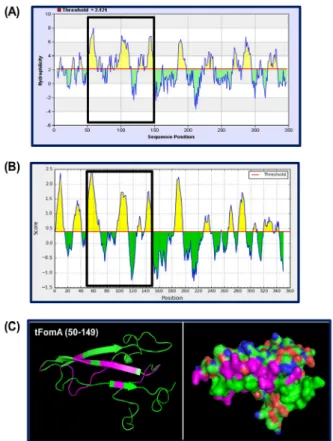 Figure 1. Target selection for recombinant truncated FomA  antigen. (A) AA 50~150  of FomA was calculated as most  hydrophilic region among whole FomA sequence by  hydrophilicity prediction using a Parker’s method