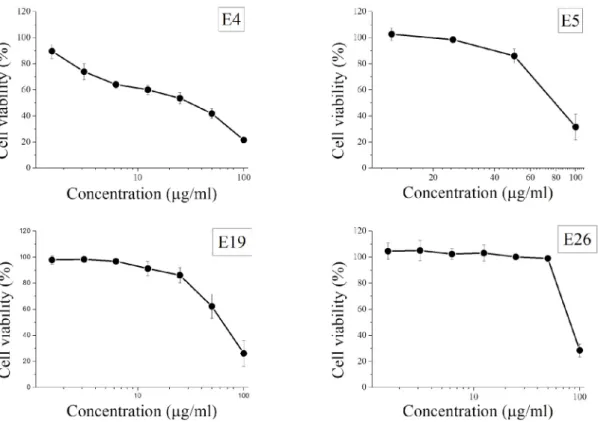 Fig. 3. Antiproliferative effect of ZR in BV-2 cells. Morphological  changes in BV-2 cells in response to ZR treatment