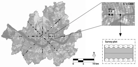 Fig. 1.  Depiction of the systematic sampling method used in this study.