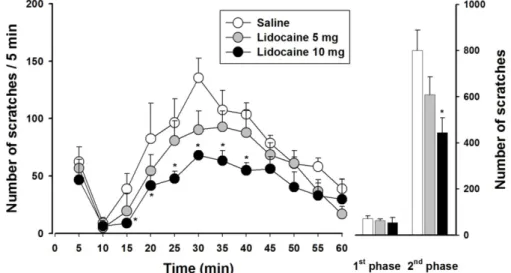 Figure 1. Effects of intraperitoneal injection of lidocaine on time course (left panel) or 1st and 2nd phase (right panel) of orofacial  formalin-induced behavioral responses