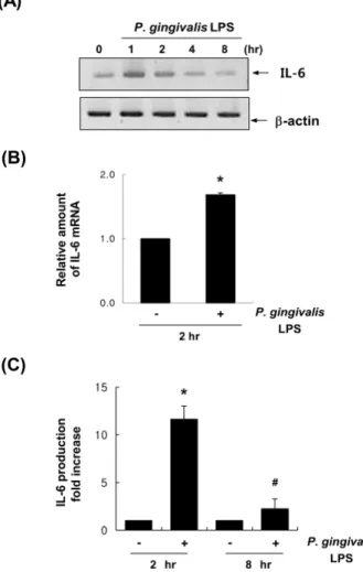 Fig. 3. Effect of P. gingivalis LPS on the activation of ERK1/2,  p38MAPK, and AKT (A) Vascular smooth muscle cells were  treated with P