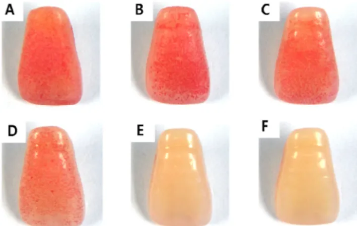 Fig. 2.  S. mutans biofilms on resin tooth surface, which were  incubated in propolis