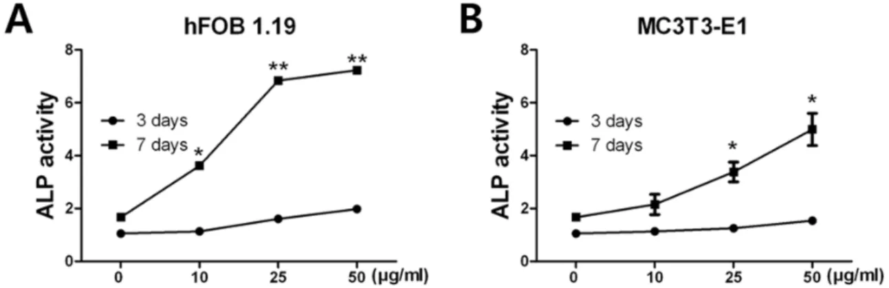 Fig. 2. Alkaline phosphatase activity (ALP) of hFOB 1.19 and MC3T3-E1 cells by Chios gum mastic Osteoblast differentiation  marker, ALP activity increased in a time-dependent manner