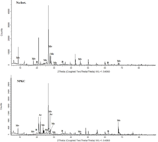 Fig. 3. X-ray diffraction patterns of K-bearing minerals in No fert. and NPKC treatments