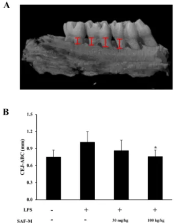 Fig. 4. The effect of the SAF-M in the loss of alveolar bone by  LPS induced Micro-CT