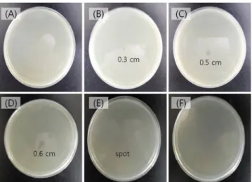 Fig. 5. The Clear zone was measured after plasma treatment on  smear agar plate of C. albicans