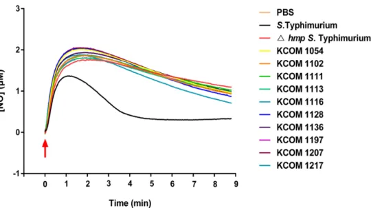 Fig. 1. Nitric oxide (NO) consumption rates of S. mutans strains. Bacterial solutions were prepared in PBS buffer by adding the same  amount of Streptococcus and Salmonella strains grown overnight in BHI media and LB media, respectively, after washing with