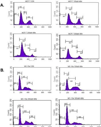 Fig. 2. Histogram of DNA distribution in 6-gingerol treated  MCF-7 (A) and MCF-10A (B) cells treated with 100, 200, and  300 µM of 6-gingerol for 24 and 48 hrs