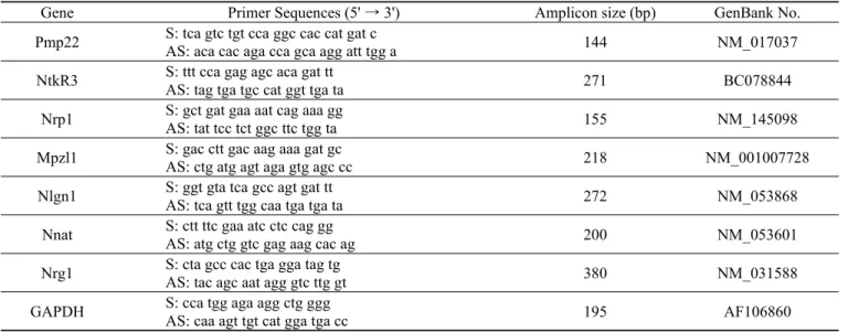 Fig. 1. Morphological features of the developing molar germs. 
