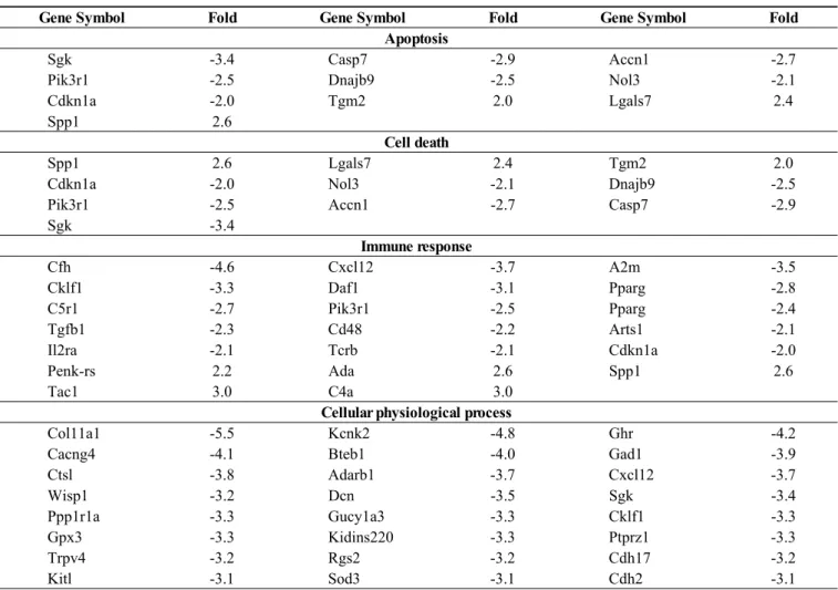 Table 2. Genes that showed more than 2 fold difference between the upper 2nd and the upper 3rd molar tooth germs at 10 dpp