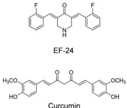 Fig. 1. Chemical structures of EF-24 (diphenyl difluoroketone)  and curcumin (diferuloylmethane).