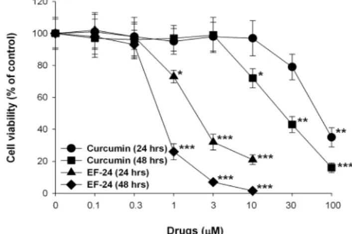 Fig. 2. Concentration- and time-dependent effects of EF-24  and curcumin on the cell viability in HTB-41 cells