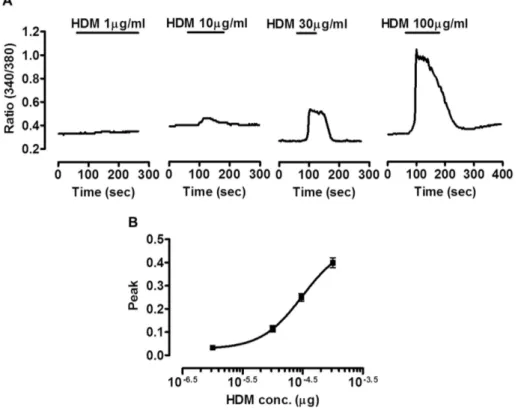 Fig. 1. House dust mite (HDM) extract induces increase in intracellular Ca 2+  concentration ([Ca 2+ ] i ) in human gingival epithelial  cells.