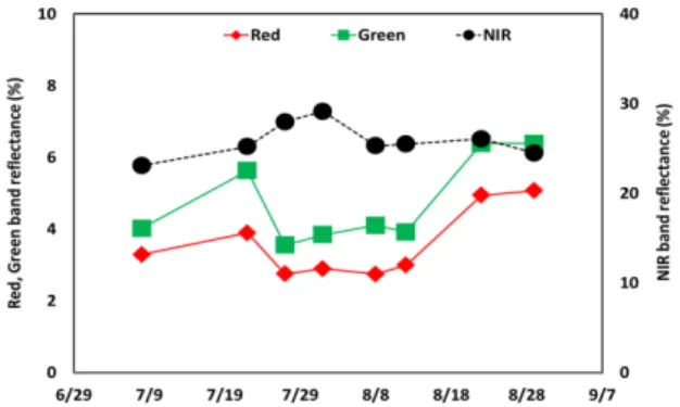 Fig. 5. Temporal variations of UAV images reflectance.