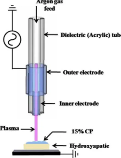 Fig. 1. A schematic drawing of the experimental process using  nonthermal atmospheric pressure plasma.