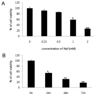 Fig. 1. Cytotoxic effect of NaF on SCC25 cells. NaF treated  cell viability was determined by MTT assay
