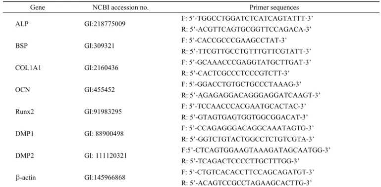 Table 1. Sequences of primer for mouse osteoblastic marker 