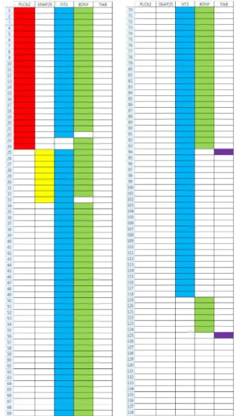 Fig.  3.  Representative  single  cell  RT-PCR  result.  19  cells  obtained  from  single  rat