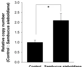 Fig. 6. Effect of Sambucus sieboldiana on OC mRNA expression  by real-time quantitative RT-PCR (qRT-PCR)